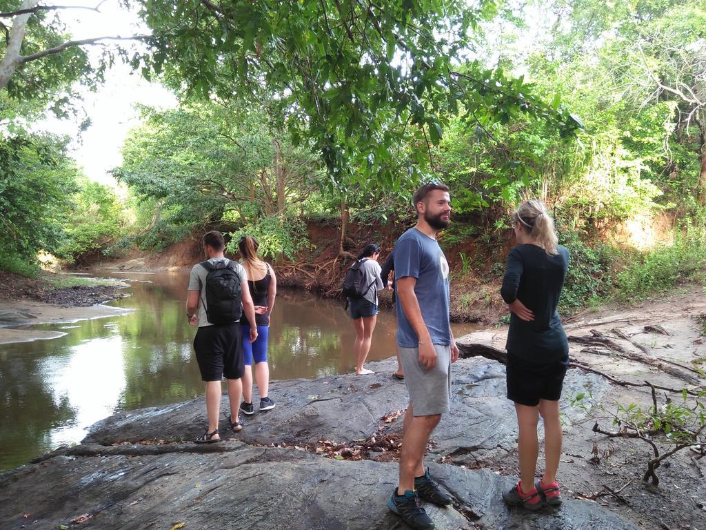 Brookline Safari Resort Udawalawe Eksteriør bilde
