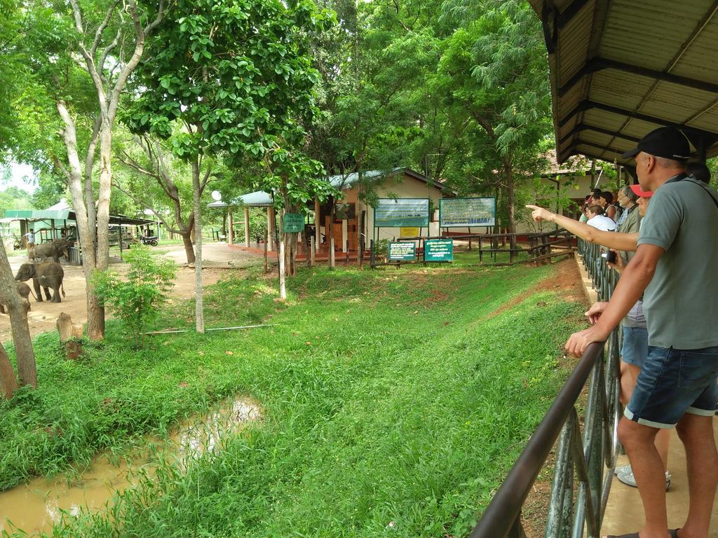 Brookline Safari Resort Udawalawe Eksteriør bilde