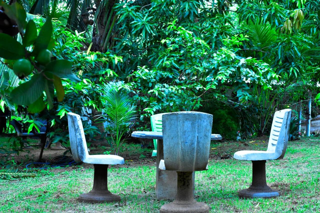 Brookline Safari Resort Udawalawe Eksteriør bilde