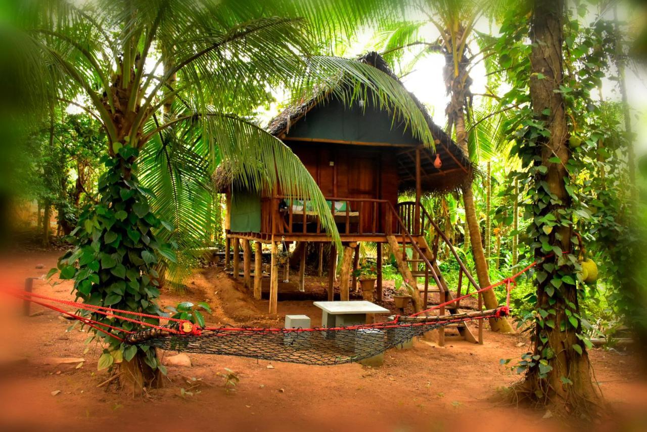 Brookline Safari Resort Udawalawe Eksteriør bilde