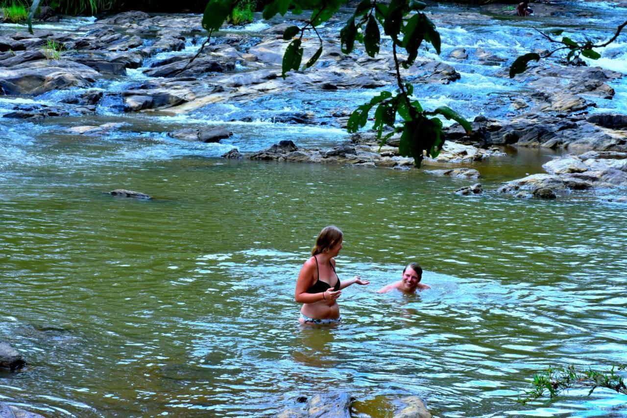 Brookline Safari Resort Udawalawe Eksteriør bilde