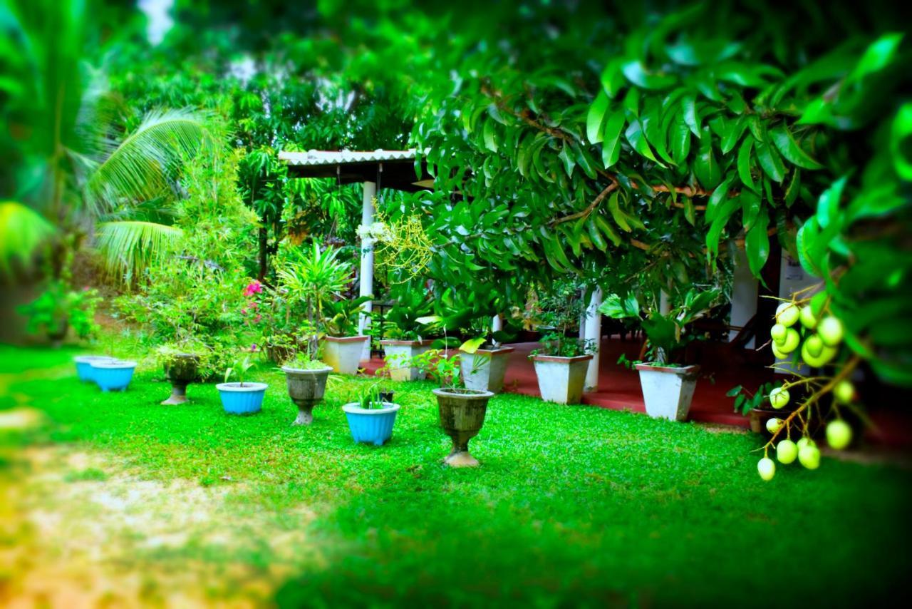 Brookline Safari Resort Udawalawe Eksteriør bilde