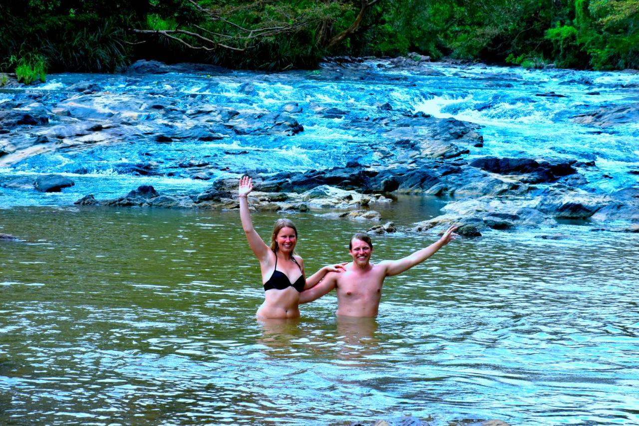 Brookline Safari Resort Udawalawe Eksteriør bilde
