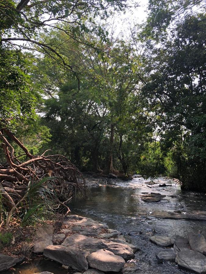 Brookline Safari Resort Udawalawe Eksteriør bilde